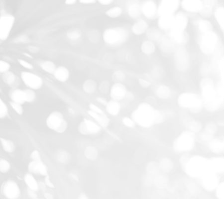 light-gray-and-white-bokeh-background-2025-03-11-02-50-37-utc